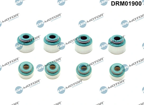 DRM01900 Lizarte