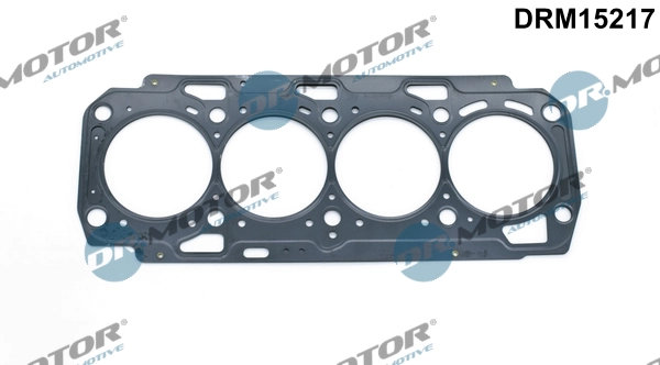 DRM15217 Lizarte