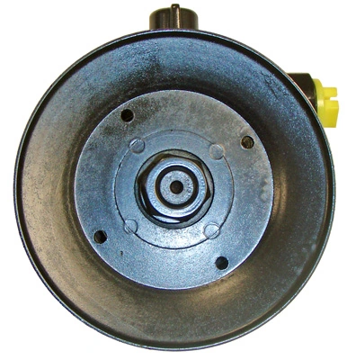 Bomba de dirección asistida  Lizarte 047501162 precio, desde 98,60 EUR