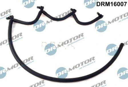 DRM16007 Lizarte