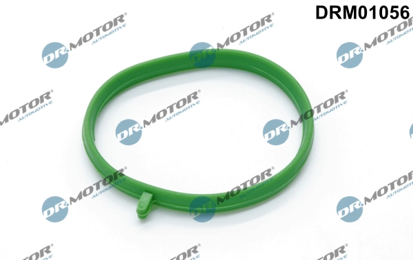 DRM01056 Lizarte