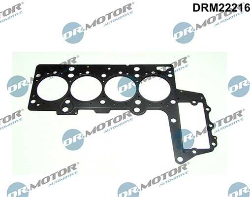 DRM22216 Lizarte