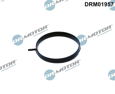 Junta cuerpo mariposa para Nissan Micra K12
