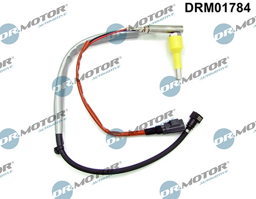 DRM01784 Lizarte