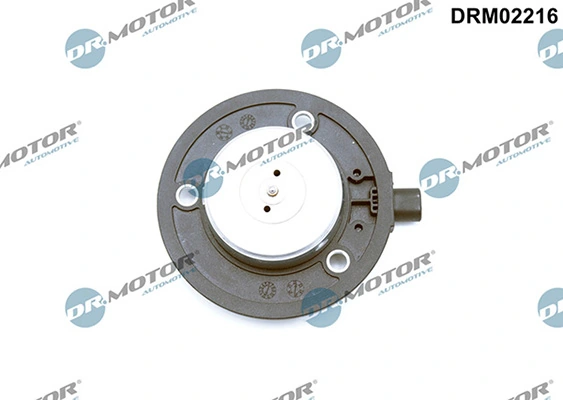 DRM02216 Lizarte