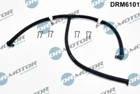 DRM6101 Lizarte