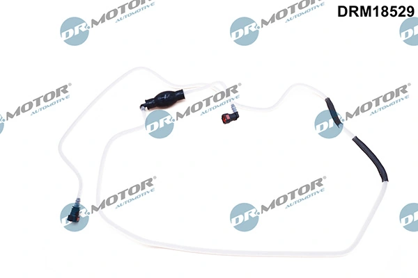 DRM18529 Lizarte