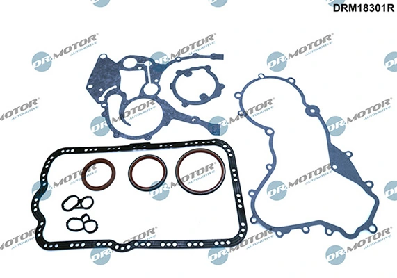 DRM18301R Lizarte