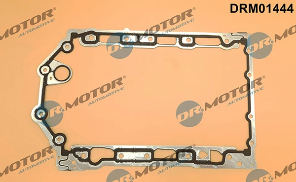 DRM01444 Lizarte