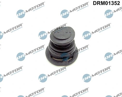 DRM01352 Lizarte