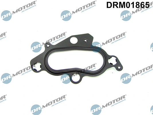 DRM01865 Lizarte
