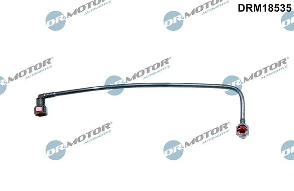 DRM18535 Lizarte