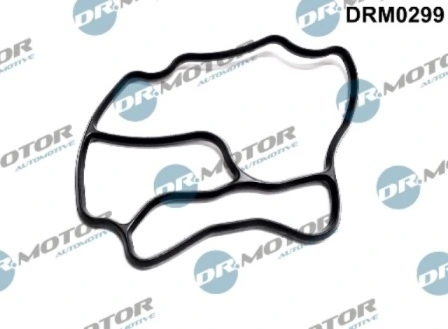 DRM0299 Lizarte