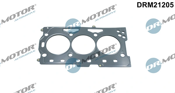 DRM21205 Lizarte