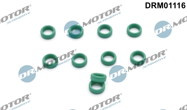 DRM01116 Lizarte