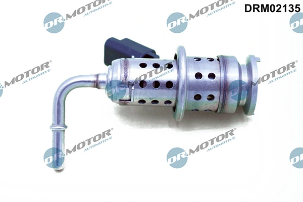 DRM02135 Lizarte