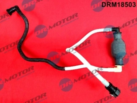 DRM18503 Lizarte