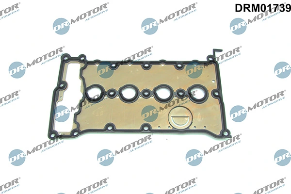 DRM01739 Lizarte