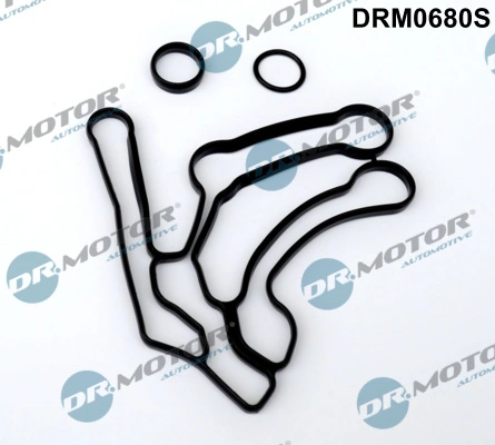 DRM0680S Lizarte