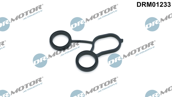 DRM01233 Lizarte