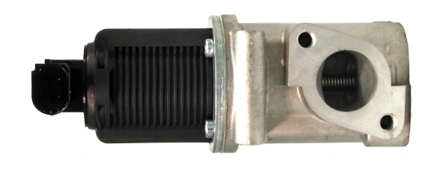 EGR002 Lizarte