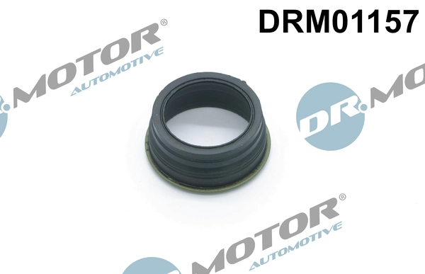 DRM01157 Lizarte