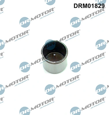 DRM01829 Lizarte
