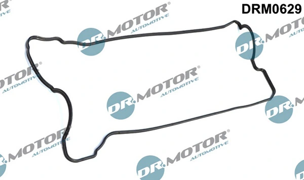 DRM0629 Lizarte