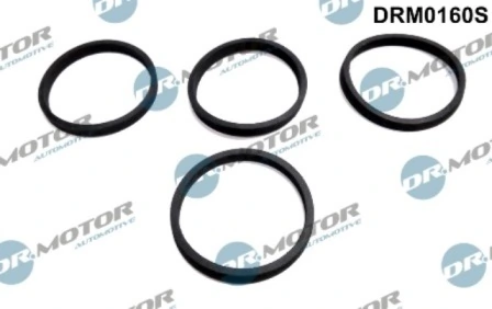DRM0160S Lizarte