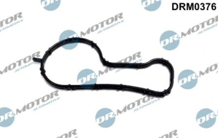 DRM0376 Lizarte