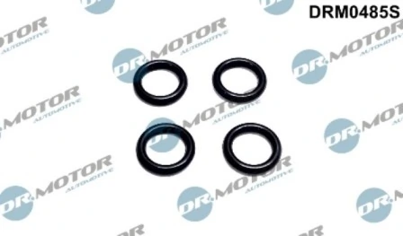 DRM0485S Lizarte