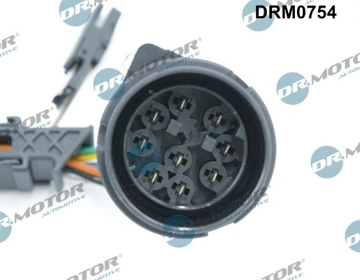 DRM0754 Lizarte