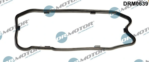 DRM0639 Lizarte
