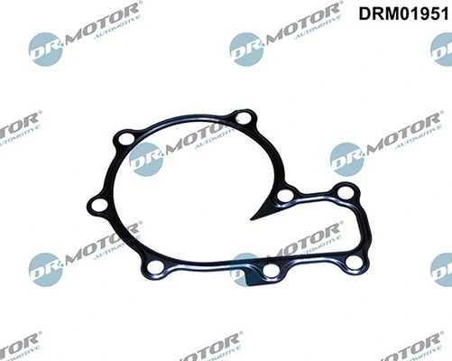 DRM01951 Lizarte