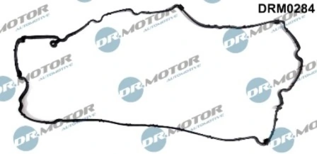 DRM0284 Lizarte