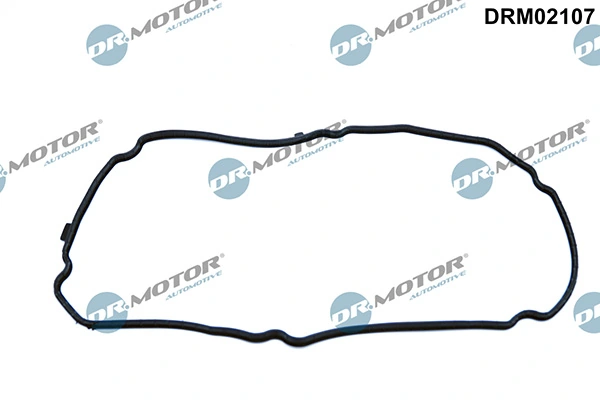 DRM02107 Lizarte