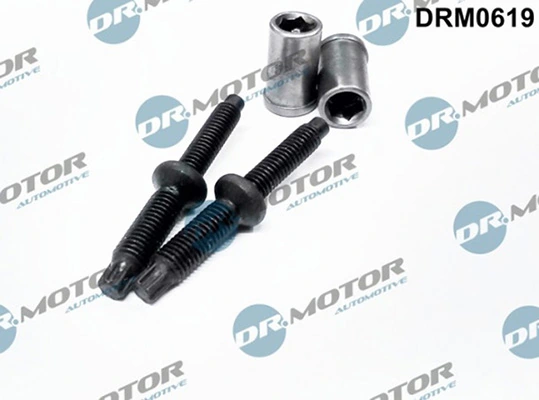 DRM0619 Lizarte