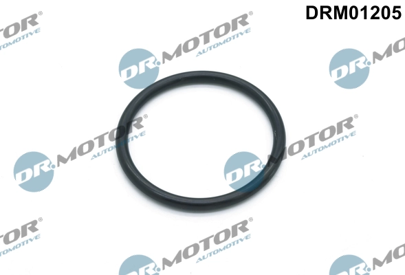 DRM01205 Lizarte