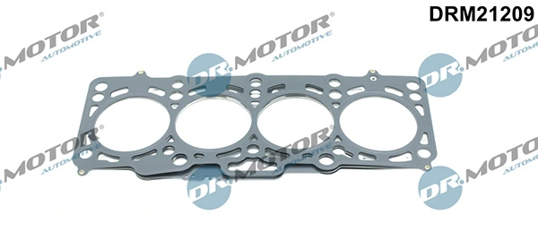 DRM21209 Lizarte