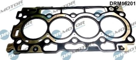 DRM16201 Lizarte