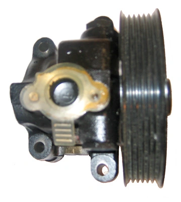 Bomba de dirección asistida  Lizarte 04051120 precio, desde 58,08 EUR