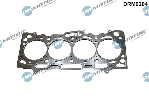DRM9204 Lizarte