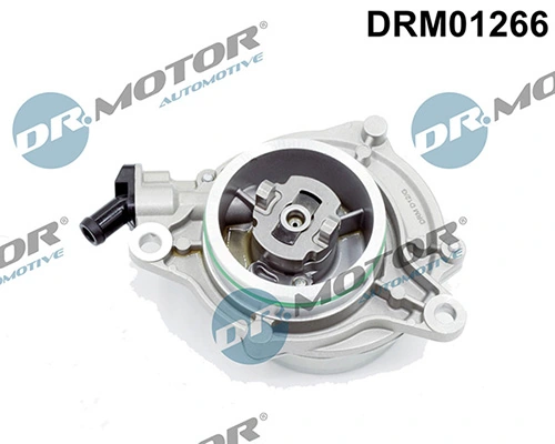 DRM01266 Lizarte