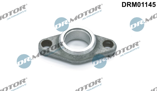 DRM01145 Lizarte
