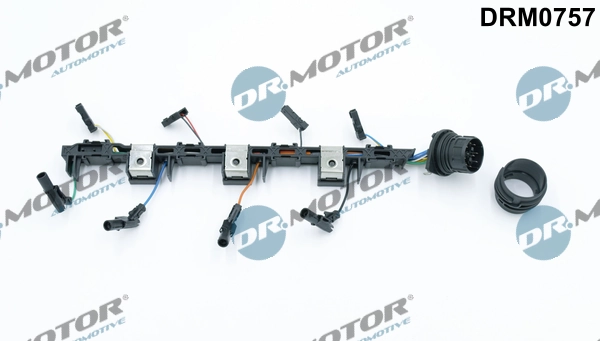 DRM0757 Lizarte