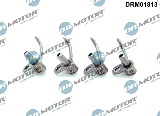 DRM01813 Lizarte
