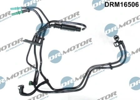 DRM16506 Lizarte