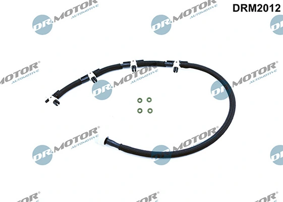 DRM2012 Lizarte