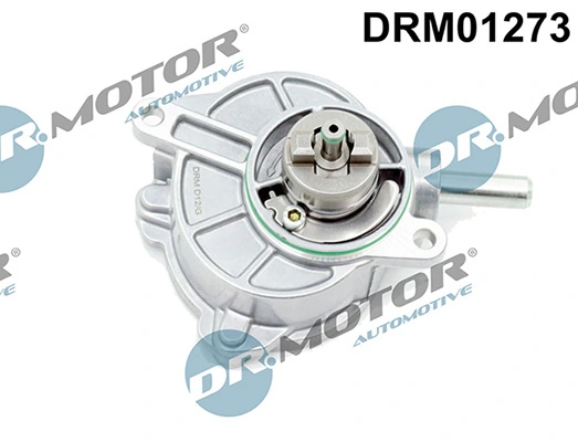 DRM01273 Lizarte