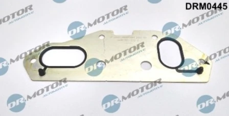 DRM0445 Lizarte